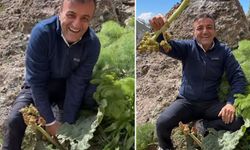 Ersin Korkut Hakkari’de uçkun topladı