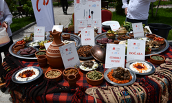 Hakkari'de 3. Yöresel Lezzetler Festivali düzenlendi