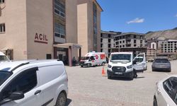 Hakkari'de 8  'acemi kasap' hastanelik oldu