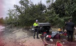 Kediden kaçarken otomobil plaja uçtu