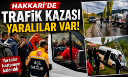 Hakkari'de yolcu otobüsü direğe çarptı: 7 yaralı