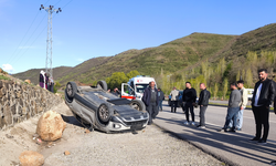 Koyuna çarparak devrilen otomobildeki 3 kişi yaralandı
