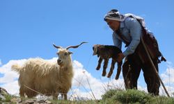 Aydın Aydın’dan hem kurtarma Hem hantavirüs uyarısı