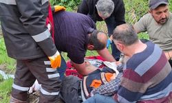 Mantar toplarken ayı saldırısında yaralandı