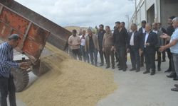 Mardin’de ilk arpa hasadına altın ödülü