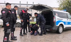 Motosiklet sürücüsüne biber gazıyla müdahale