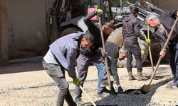 Şemdinli'de yol onarım çalışmaları başladı