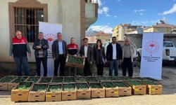 Hakkari'de üreticilere 13 bin 520 sera fidesi dağıtıldı