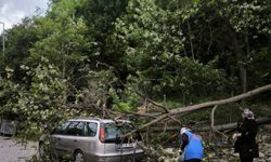 Kuvvetli rüzgarda ağaç otomobilin üzerine devrildi