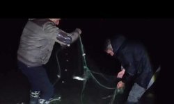 Van'da kaçak avlanan balıklar suya bırakıldı