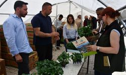 Hakkari'de sebze üreticilerine destek sürüyor