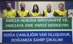 Eğitim Sen: Doğanın talan edilmesine izin vermeyeceğiz