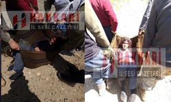 Hakkari’de pancar toplamaya giden bir kadın yaralandı