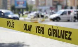 Van'da 3 çocuk annesi ölü bulundu
