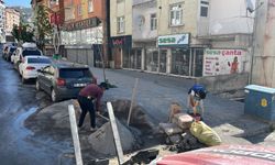 Hakkari’de hasarlı kaldırımlar yenileniyor