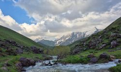 Hakkari’nin yeşil vadilerindeki saklı cennet: Han Yaylası