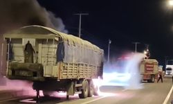 Seyir halindeki tırın dorsesinde çıkan yangın söndürüldü