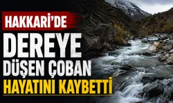 Hakkari’de dereye düşen çoban hayatını kaybetti