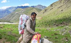 Hakkari yaylalarında pancar mesaisi devam ediyor