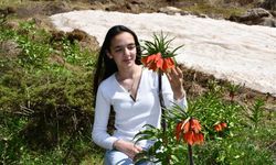 Şivişk Vadisi Haziran’da ters lalelerle renklendi