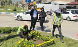 Yüksekova’nın ana caddeleri çiçeklerle renkleniyor