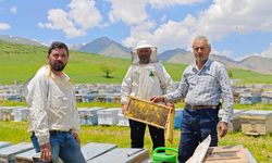Bodrumlu arıcı, 5 yıldır Hakkari'de bal hasadı yapıyor