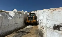 Hakkari'de 5 metreyi bulan kar kütleleri temizleniyor