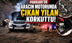 Hakkari’de aracın motoruna giren yılan paniğe neden oldu