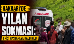 Hakkari’de yılan sokması: bir kişi hastaneye kaldırıldı