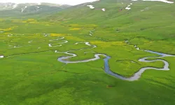 Ağrı’daki menderesler yeşile büründü