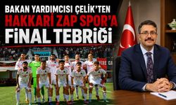 Bakan Yardımcı Çelik'ten Hakkari Zap Spor'a final tebriği