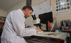 Hakkari'de kayıt altına alınan bitki türü sayısı 800'e çıktı