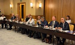 Hakkari Barosu İstanbul'daki barış çalıştayına katıldı