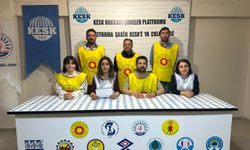 Hakkari Eğitim Sen'den 'Maarif Modeli' eleştirisi
