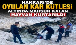 Hakkari'de kar kütlesinin altında mahsur kalan ineği ekipler kurtardı
