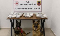 Hakkari'de 21.6 kilo toz esrar ele geçirildi
