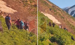 Hakkari'de pancar toplarken düşen vatandaş yaralandı