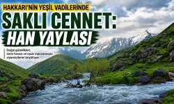 Hakkari’nin yeşil vadilerindeki saklı cennet: Han Yaylası