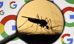 Google 32 milyon kısır sivrisinek salacak
