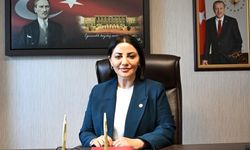 Karslı’dan nafaka kararı değerlendirmesi