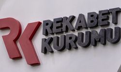 Vize aracılık firmalarına inceleme başlatıldı
