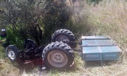 Zeytinliğe devrilen traktörün sürücüsü öldü