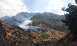 Hakkari-Çukurca yolunda yangın: Alevler ormana ulaştı