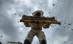 Kardeşler çeyrek asırdır Bingöl balı üretiyor