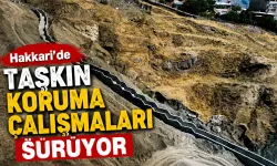 Hakkari'de taşkın koruma çalışmaları sürüyor