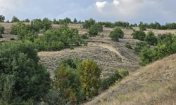 Erzincan'da heyelan riski nedeniyle 6 bağ evi tahliye edildi