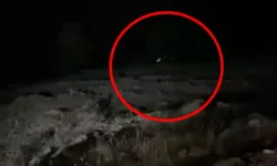 Ticari araç uçuruma yuvarlandı. 4 kişi öldü