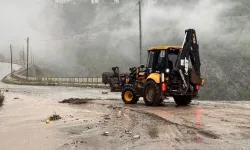 Artvin'de sağanak hayatı olumsuz etkiledi