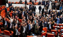 Çerçeve yasada hangi parti kaç fire verdi?