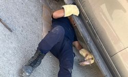 Minik kedinin yardımına Hakkari itfaiyesi yetişti